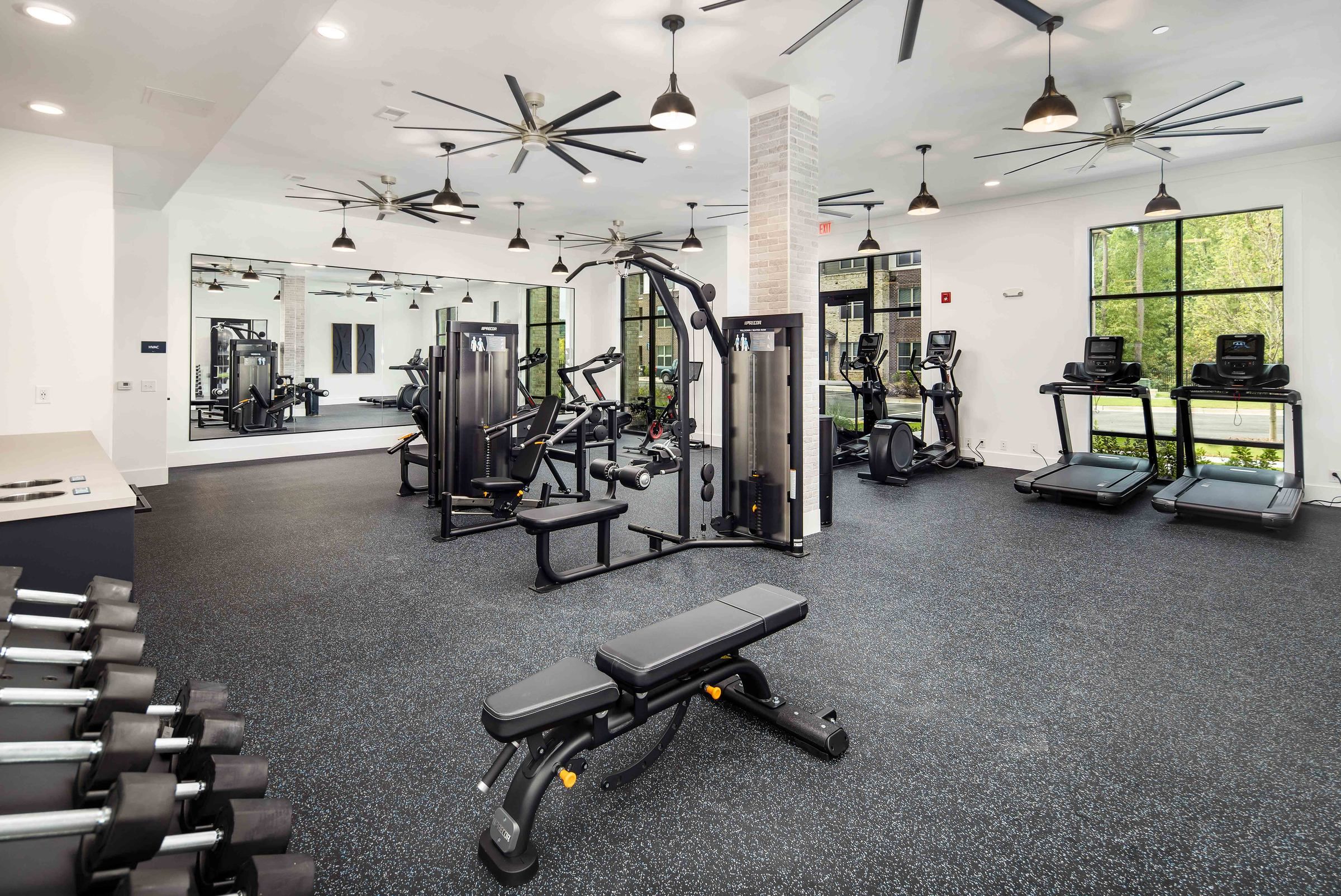 The fitness center at Alta Ashley Park, equipped with an array of black exercise machines, free weights, and multiple ceiling fans, set against a backdrop of large windows.